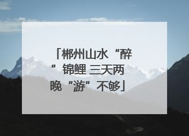 郴州山水“醉”锦鲤 三天两晚“游”不够